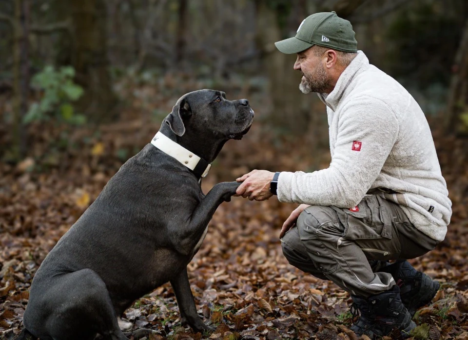Mike begegnet einem Hund aufmerksam auf Augenhöhe