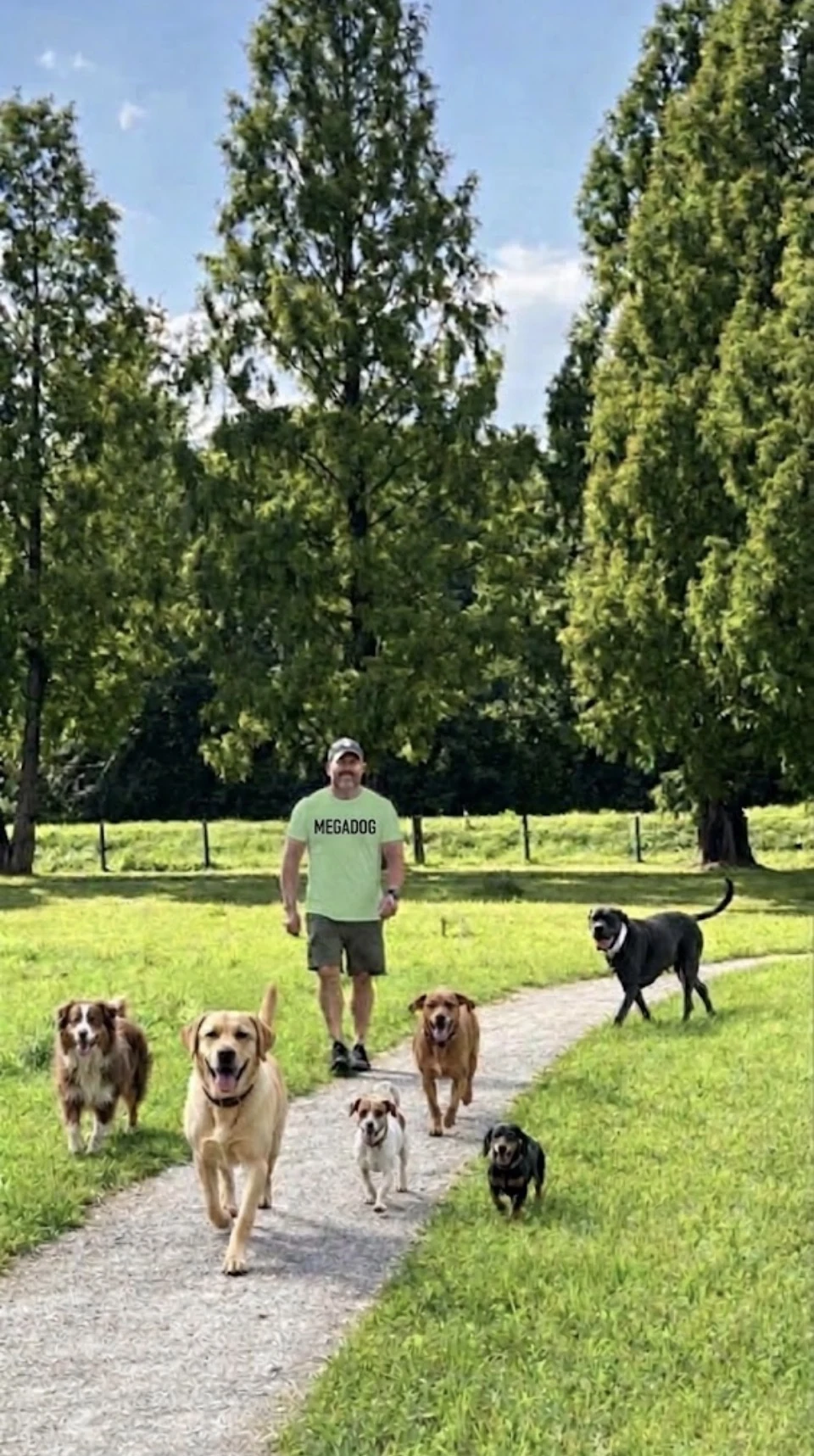 Mike mit einer Hundegruppe auf einem Spazierweg